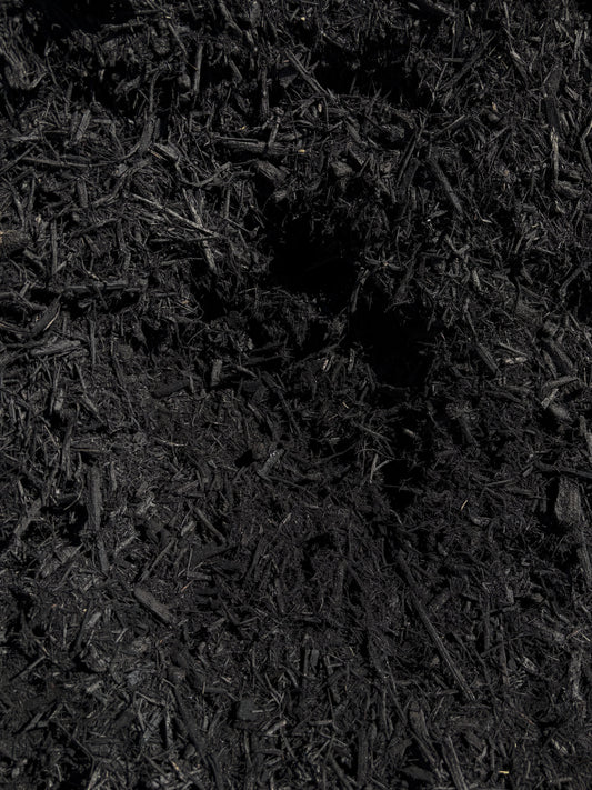 Mulch-Dyed Black (Double-Ground)