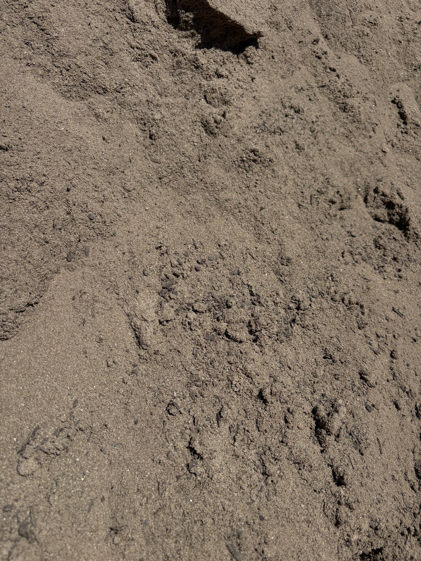Golf Agronomics 60/40 Soil Blend