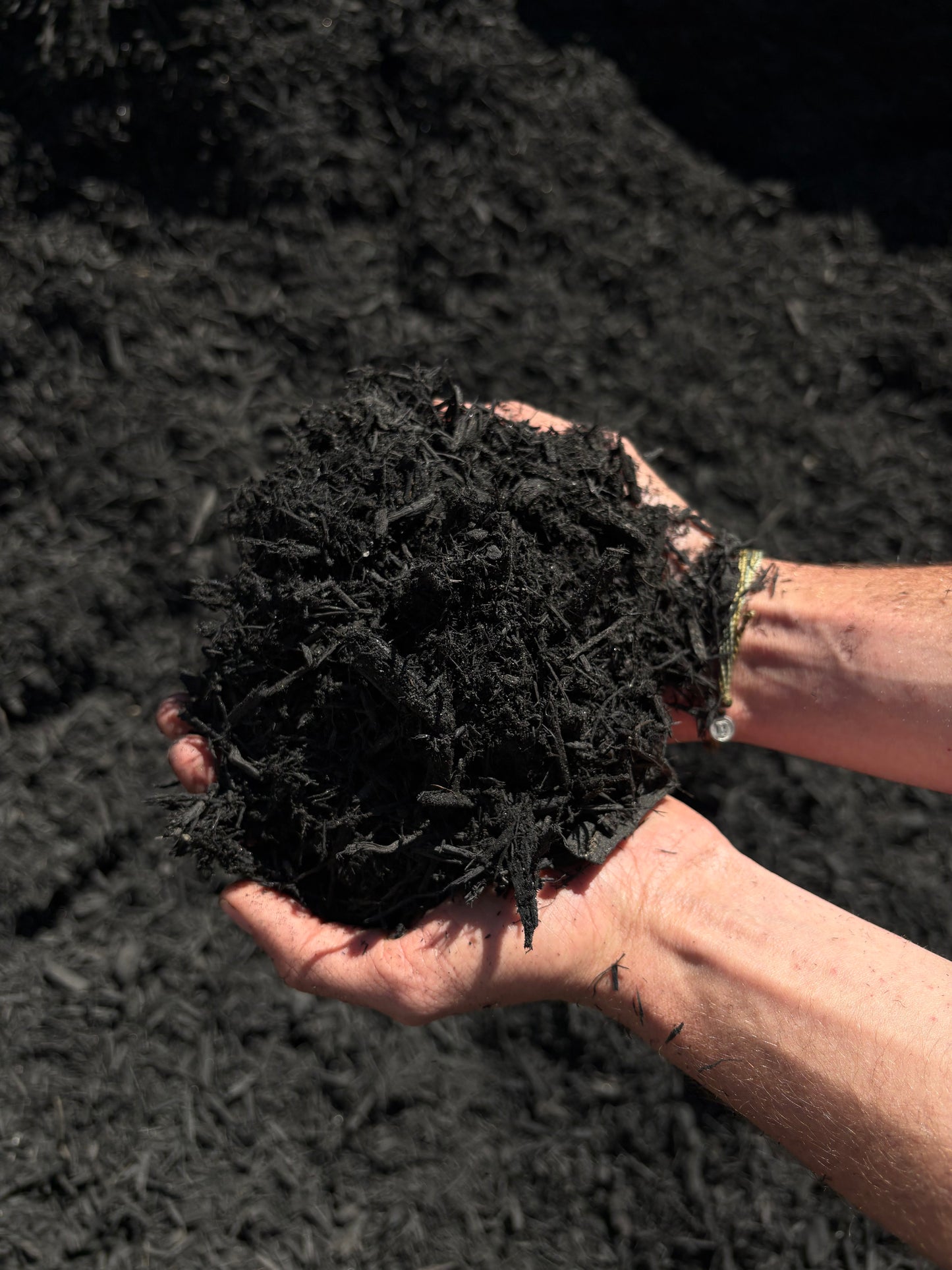Mulch-Dyed Black (Double-Ground)