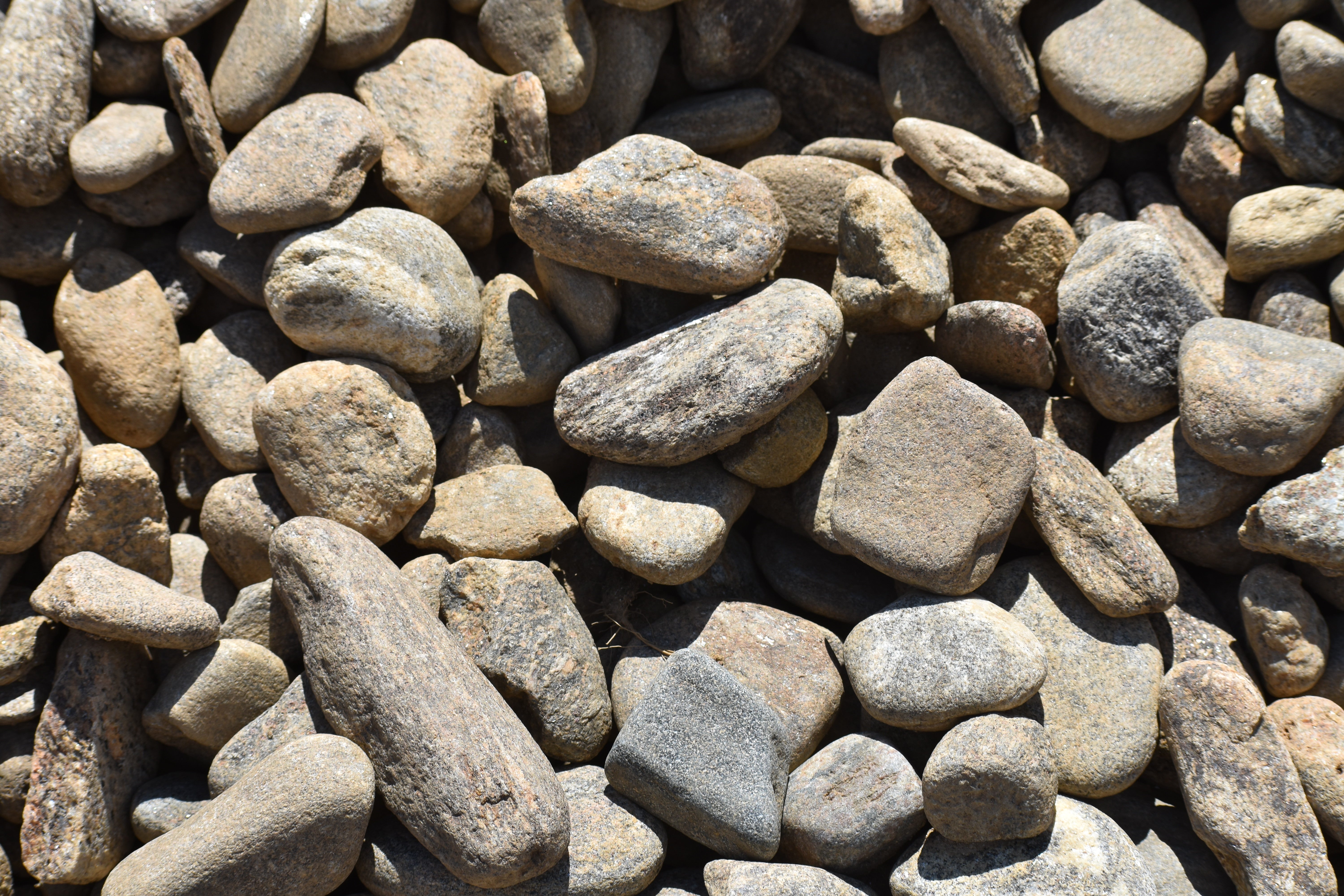 Rock – The Yard